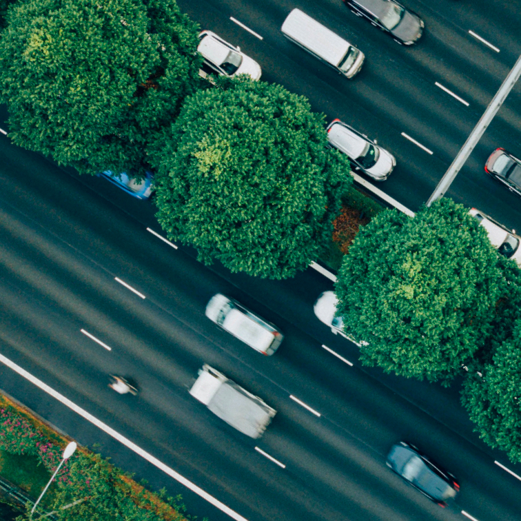 Overhead view of trees and road