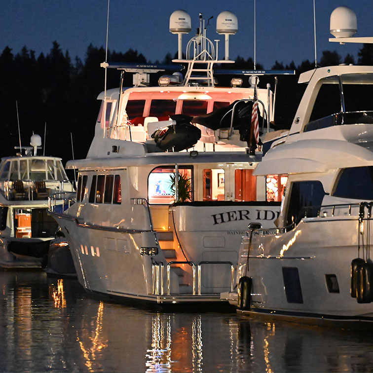 Boats docked at night