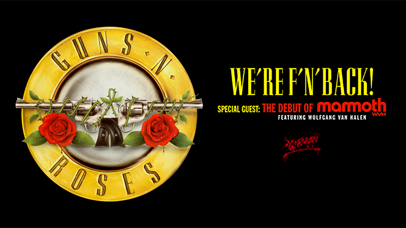 Guns N' Roses Dart Flights 3 per set 