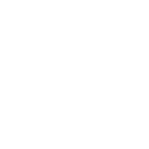 Burts Bees