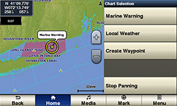 Garmin D3