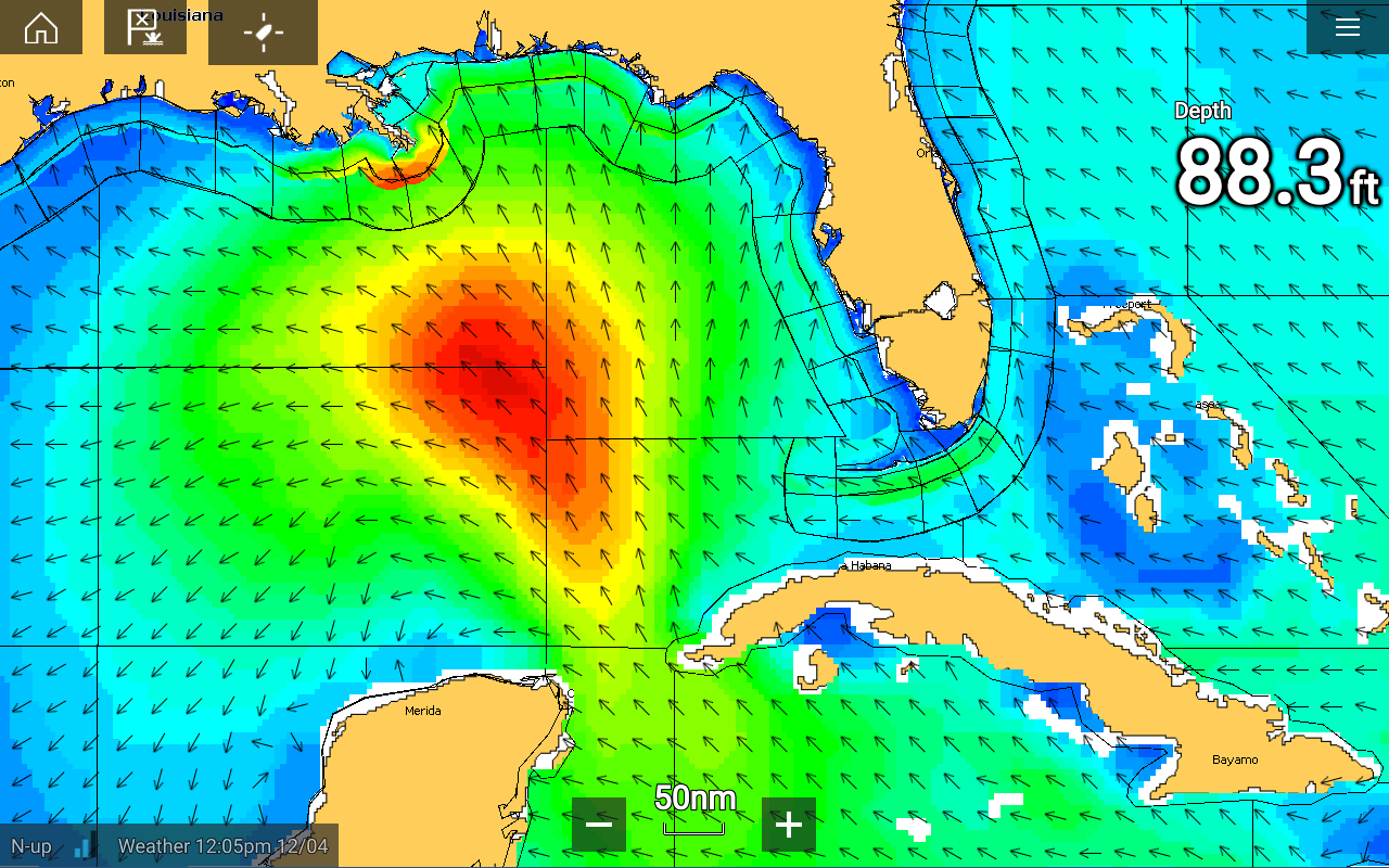Ray Marine 4